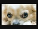 AiLoveYou_1_1