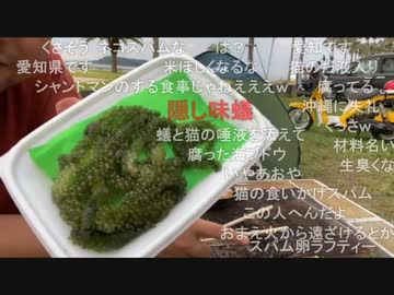 #七原くん 20220828「第二回　野外学習　5」米有前編(ポーク玉子,便所やっと2回目,途中休憩大府でリア凸複数･夫婦勢も,マリオカート・歩行者モード駆使帰宅)
