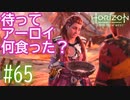 【実況】食材集めてきたのに肝心の料理を見せないスタイル #65【Horizon Forbidden West】