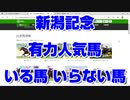 【競馬予想】新潟記念2022 有力人気馬 いる馬 いらない馬 エヒト ヒートオンビート フェーングロッテン カイザーバローズ サンレイポケット スカーフェイス ディアマンミノル カラテ