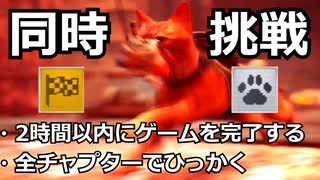 【ゆっくり実況】Stray おまけ2【実績解除】