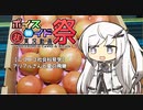 【ニコニコ社会科見学】アリアルさんと夏の飛騨【第八回ひじき祭】