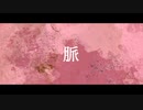 脈/IA