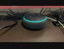 【ALEXA】今日のアレクサ 2022/08/31宿題の日