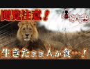 悪魔ぶって検索してはいけない言葉の貯金実況part112【ライオン 痛いよーなど】