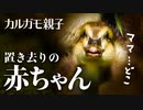 0528C①【置き去りのヒナ】