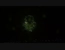2022.8.27 （秋田）大曲の花火　「春たけなわの藤と松」