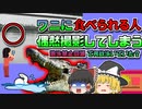 【2020年ﾒｷｼｺ】「なんか人が泳いでるから撮ってみよう」 →ワニに襲われる所を撮影してしまう『メキシコカルピンテロ湖ワニ襲撃事件』【ゆっくり解説】