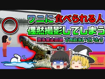 【2020年ﾒｷｼｺ】「なんか人が泳いでるから撮ってみよう」 →ワニに襲われる所を撮影してしまう『メキシコカルピンテロ湖ワニ襲撃事件』【ゆっくり解説】