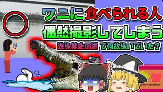 【2020年ﾒｷｼｺ】「なんか人が泳いでるから撮ってみよう」 →ワニに襲われる所を撮影してしまう『メキシコカルピンテロ湖ワニ襲撃事件』【ゆっくり解説】