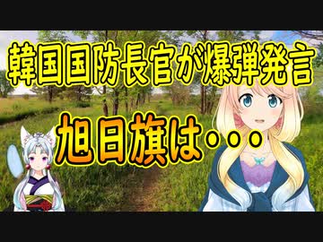 【韓国の反応】韓国の国防長官が旭日旗は昔から使われていた、昔は何も問題にしていなかったと発言した結果。【世界の〇〇にゅーす】