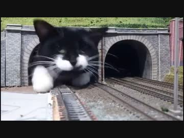 ホモと見る　巨大獣