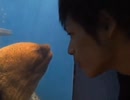 大和くんと宮島デート その2 宮島水族館ルート