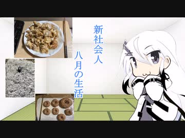 8月の生活