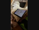 かまってちゃんなiPad