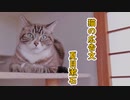 【VOICEVOX】猫の広告文【春日部つむぎ】【ソフトウェアトーク朗読劇場祭】