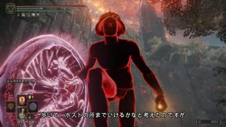 【エルデンリング】盾男の侵入動画part2【ELDENRING】