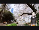 【高画質・修正版】紲星あかりと行く春の多摩湖自転車歩行道 5 　小平駅まで