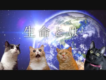 クレイジーで生存しない奴らの名刺カードTRPG【〇〇は〇〇歳になってから！】前編【ゆっくりTRPG】