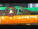【スプラ2】ダイナモのボムコンって3でもあるのかな？【XP2700】【423日目】