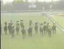迷実況…詰め合わせ@競馬