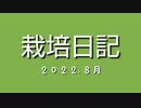 栽培日記 2022.8月