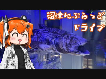 沼津に行ってみた【足立レイ車載】