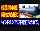 【韓国の反応】 インドネシア 韓国との 潜水艦契約を 破棄 「韓国は900億ウォンの損失・・・」