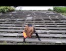 オリジナル曲２３　メタル