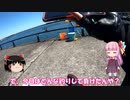 琴葉姉妹と行く釣行記録（海釣り編part26）