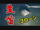 新居で突然姿を消えた妻をひたすら探すホラーゲームが怖い【BIAS】
