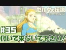 #35 ゼルダの伝説 ブレス オブ ザ ワイルド【退魔の剣おくれー！】