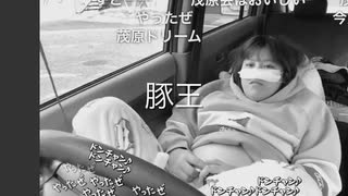 豚王
