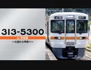 【JR東海】313系5300番台 in 身延線 〜大垣から甲府へ〜