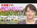 【言靈の幸ふ國】第十九回「蟻が並んで」（よみかた「初等科國語 低学年版」より）[桜R4/9/2]