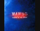 WANDS  Love & Hate