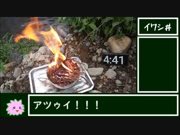 焚き火で激ウマなご飯を作るRTA【クズイワシ丼】35分38秒