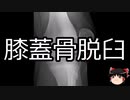【ゆっくり朗読】ゆっくりさんと不思議な病気 その524