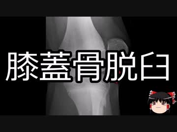 【ゆっくり朗読】ゆっくりさんと不思議な病気 その524
