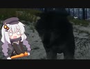 広大な大自然で狩りをするあかりちゃんのtheHunter: CotW#8
