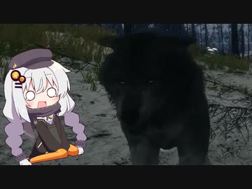 広大な大自然で狩りをするあかりちゃんのtheHunter: CotW#8