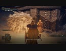 【ELDEN RING】発売日からトロコンするまで【実況】 part129