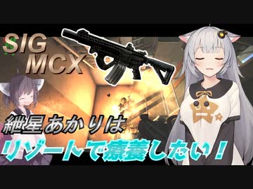 【EFT/ボイスロイド】#29　「ショアラインのリゾートで療養生活するためにPMCを一掃」作戦！【タルコフ/紲星あかり/東北きりたん/結月ゆかり】