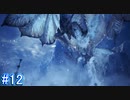 【MHWI】モンスターハンターワールド：アイスボーン 実況プレイ part12