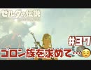 ずっと気になってたでっかい火山！【ゴロンシティ編】#37