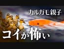 0528C③【鯉とカルガモ親子】スズメの子育て、ヒナ混ぜ