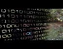 My Video