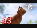 【アウトサイド】猫になれる！？サイバーパンクな世界を探索できるADVゲーム『Stray』#13
