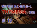 【 THYMESIA 】 病に侵されし街をゆく THYMESIA 実況 Part12 【 ゲーム実況 】