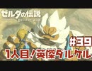 めっちゃ死ななそうなキャラなのに…【ゴロンシティ編】#39